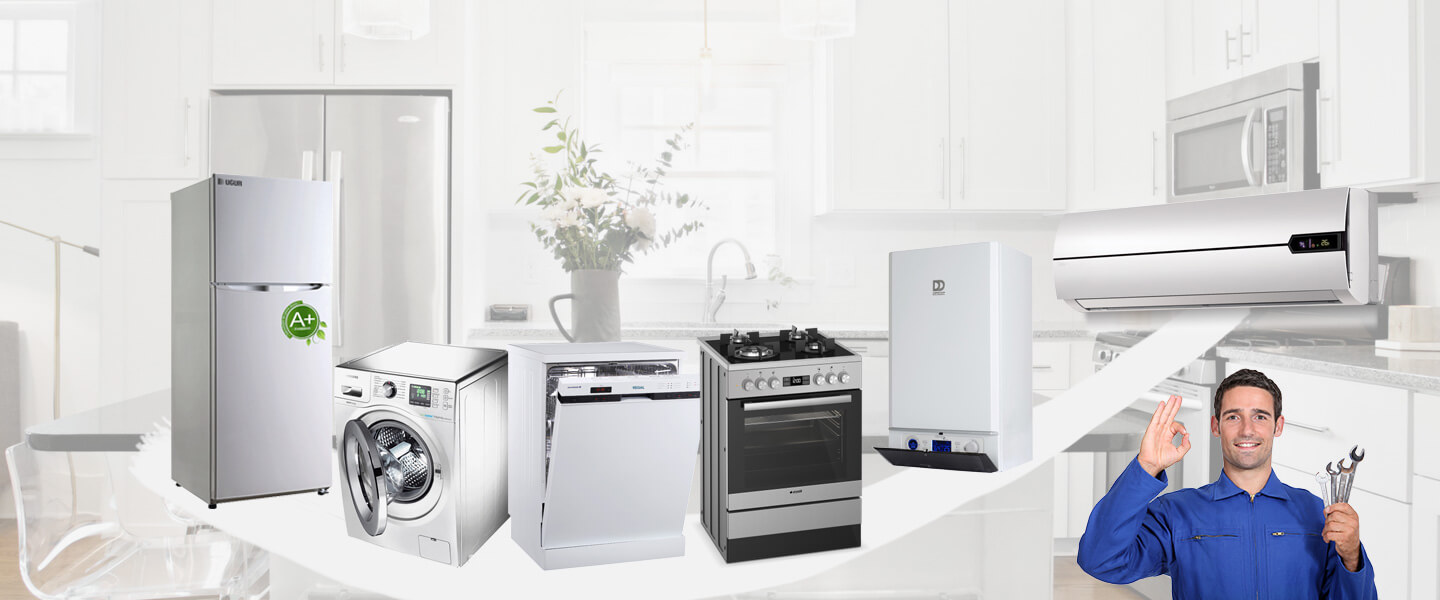 Gürgentepe Electrolux Servisi